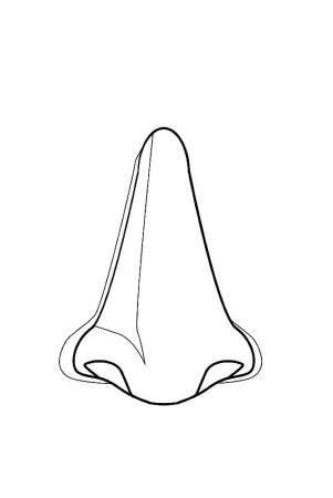 Нос раскраска для детей