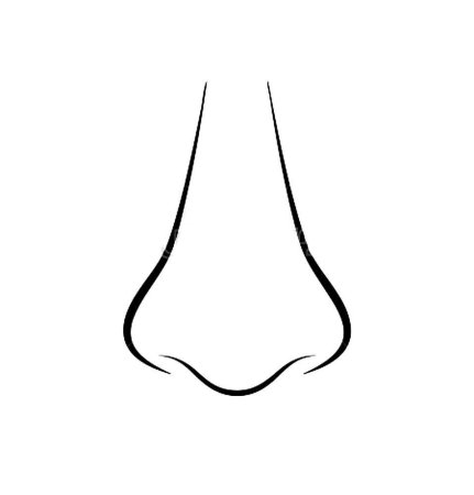 Нос раскраска