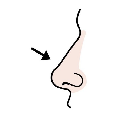 Нос без фона