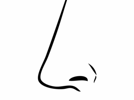 Нос раскраска для детей