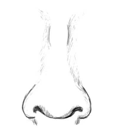 Пиктограмма нос