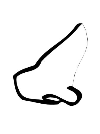 Мультяшные носики