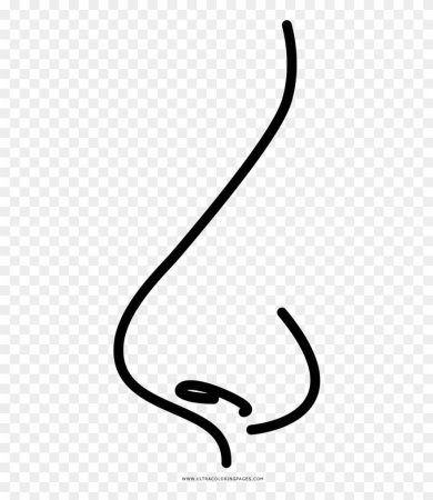 Нос картинка для детей раскраска