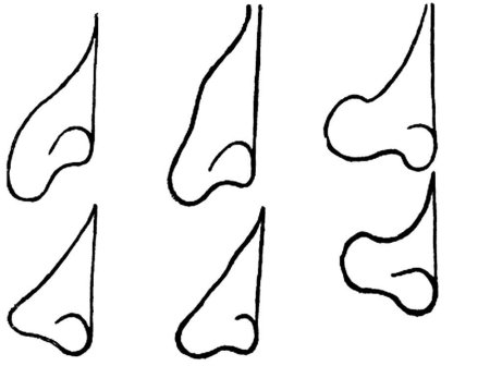 Нос рисунок