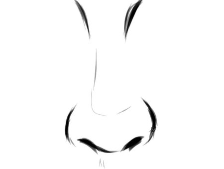 Очертания носа