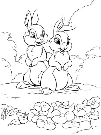 Заяц раскраска