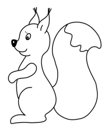 Белка раскраска