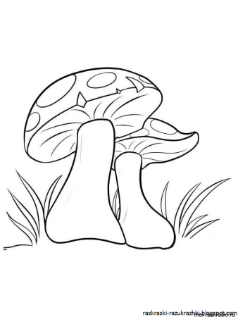Гриб раскраска