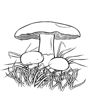 Раскраска гриб ложные опята
