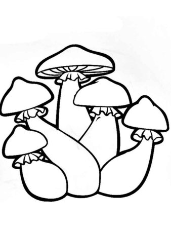 Грибочек раскраска для малышей