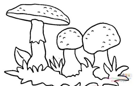 Мухомор раскраска для детей