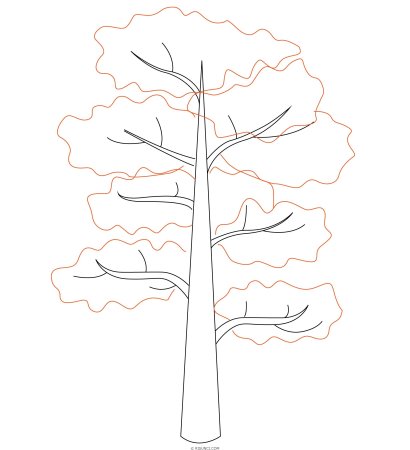 Дуб раскраска