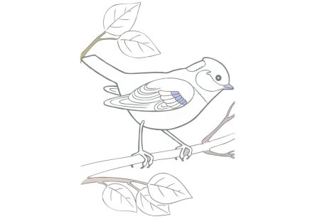 Зимующие птицы разукрашки для детей синица