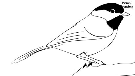 Снегири картинки для детей для раскрашивания