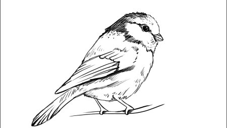 Раскраска кормушка для птиц для детей