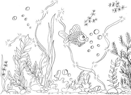 Водяной раскраска