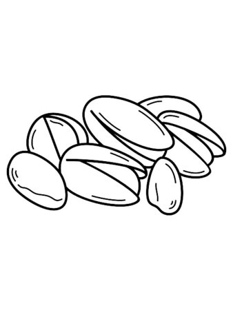 Орешки раскраска