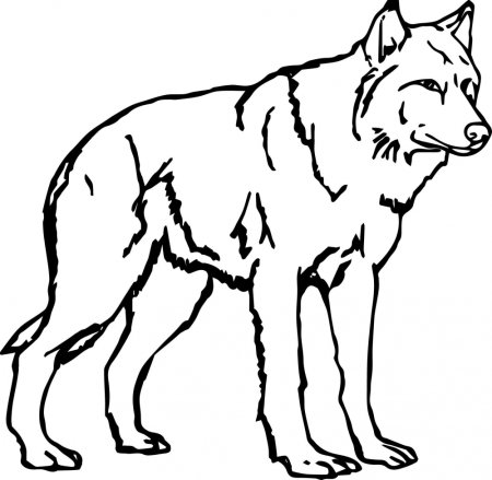 Раскраска волк