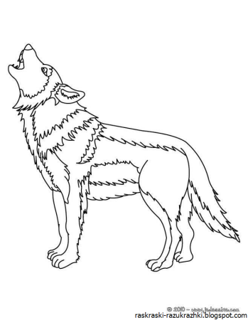 Волк картинка для детей раскраска