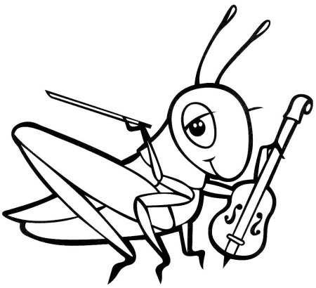 Насекомые. Раскраска
