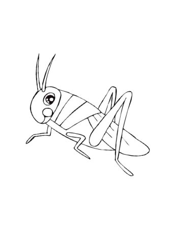 Раскраска насекомые кузнечик