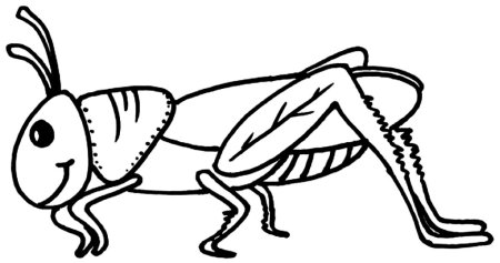 Кузнечик черно белый