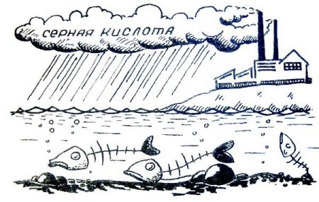 Зарисовки на тему загрязнение