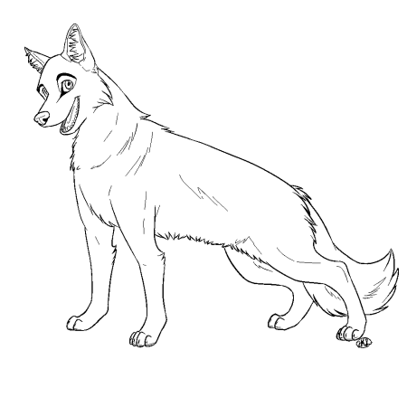 Раскраска хаски