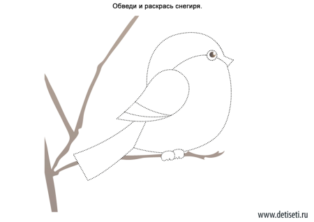 Контур птицы Снегирь
