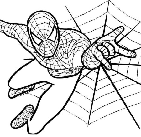 Человек паук рисунок раскраска (48 фото)