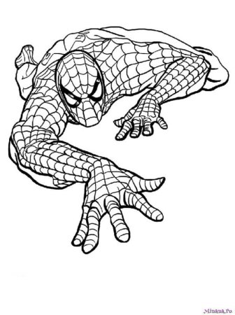 Разукрашки для детей человек паук