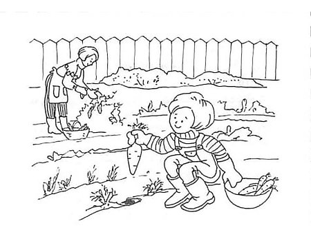 Раскраска овощи на грядке