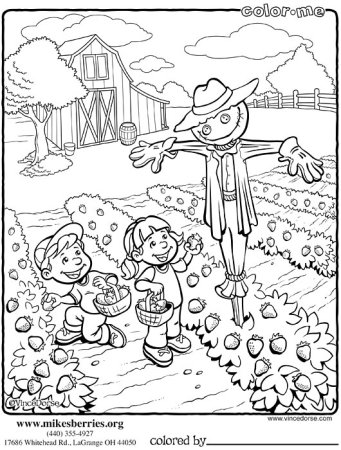 Огород раскраска для детей