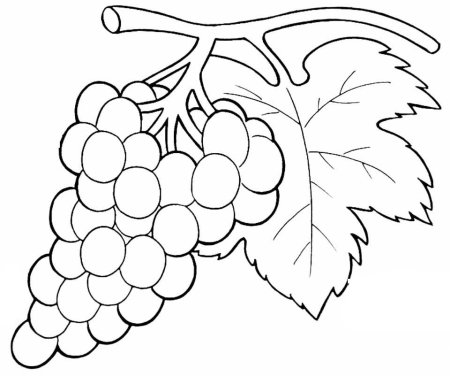 Раскраска ягода земляника