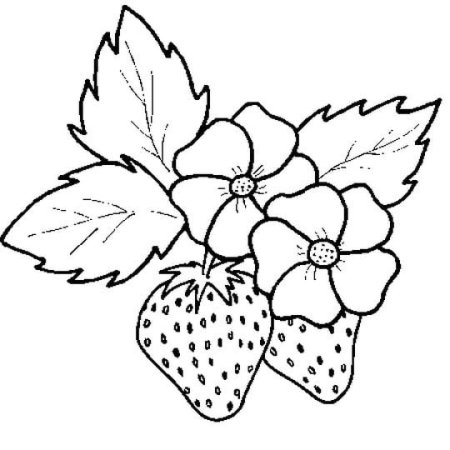Раскраска ягоды: малина, земляника