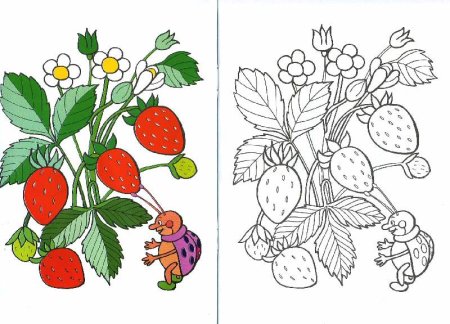 Рисунки для срисовки ягоды