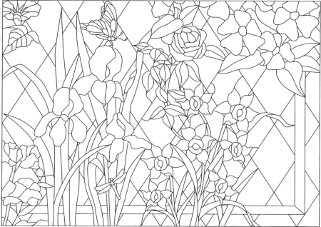 Кинусайга схемы для начинающих цветы