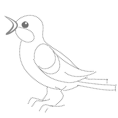 Соловей раскраска для детей