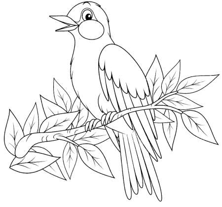 Раскраска Скворушка на ветке