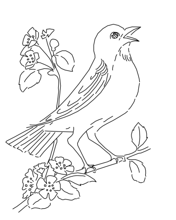 Соловей рисунок