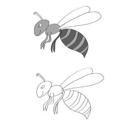 Оса раскраска
