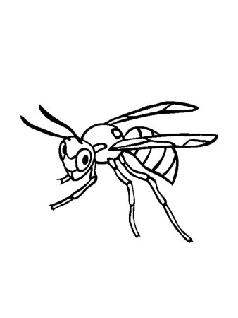Оса раскраска для детей
