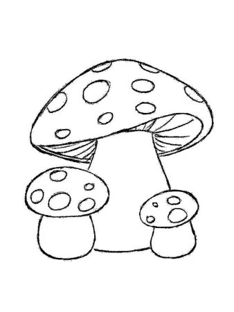 Грибы раскраска для детей