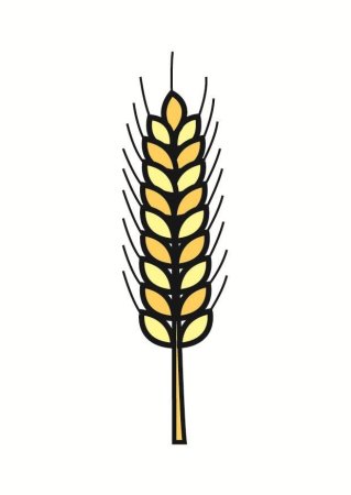 Раскраска колосок пшеницы для детей