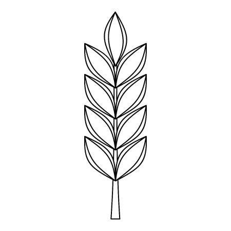 Раскраска колосок пшеницы для детей