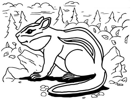 Бурундук карандашом