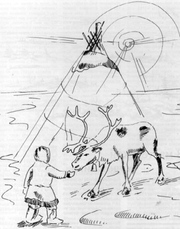 Северный олень раскраска