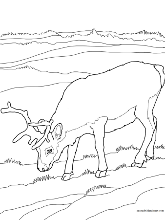 Раскраска горы и море