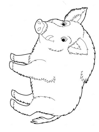 Контурные изображения животных