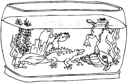 Раскраска аквариум с рыбками для детей